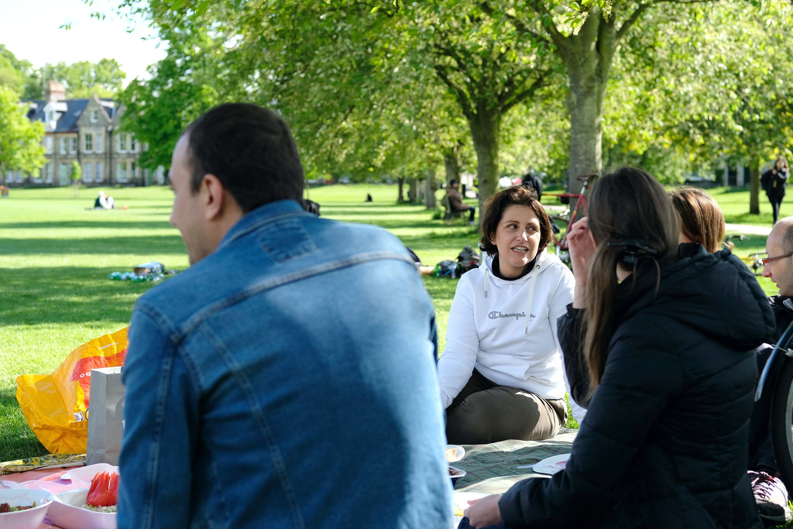 International Picnic
