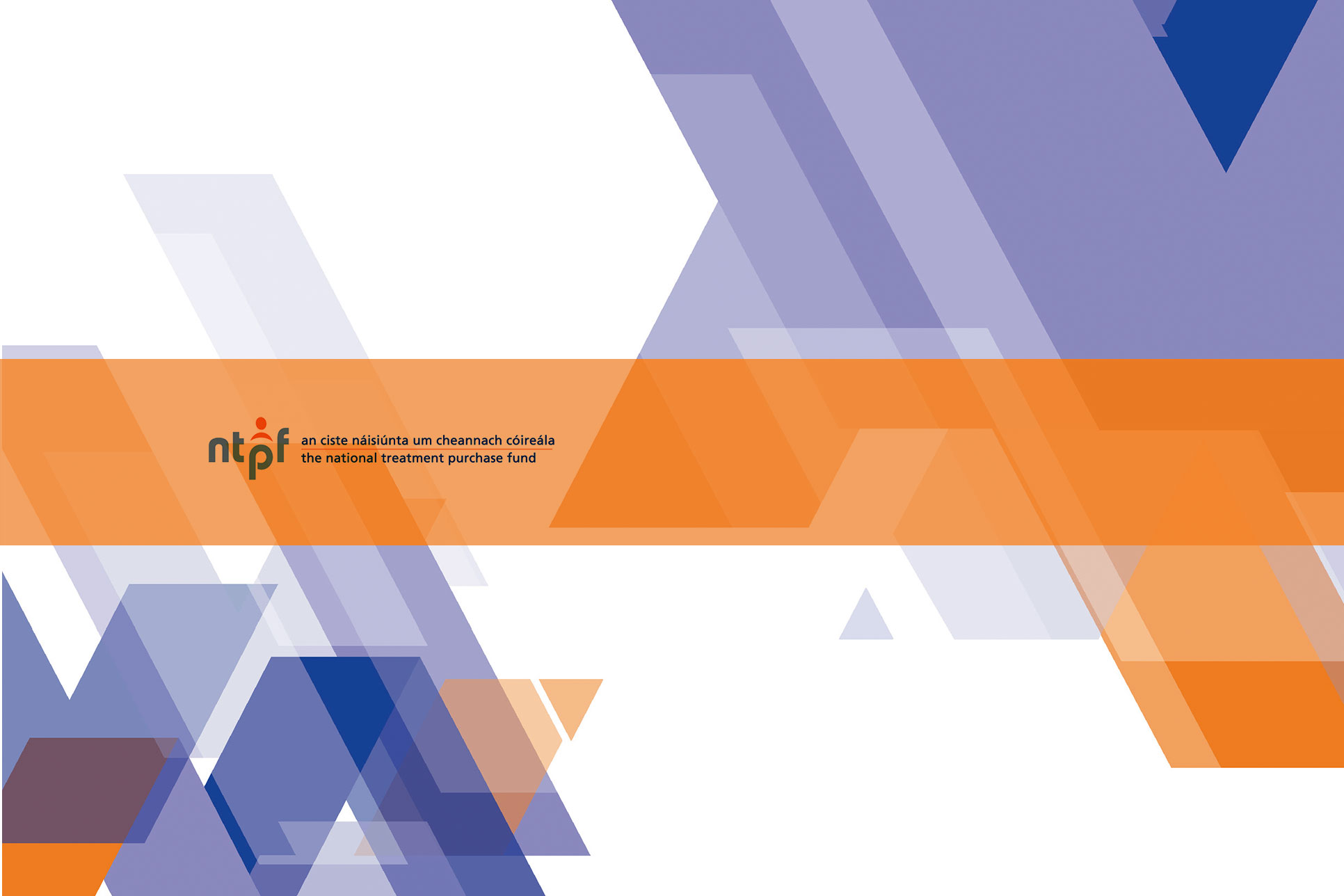 Chief Executive Officer National Treatment Purchase Fund
