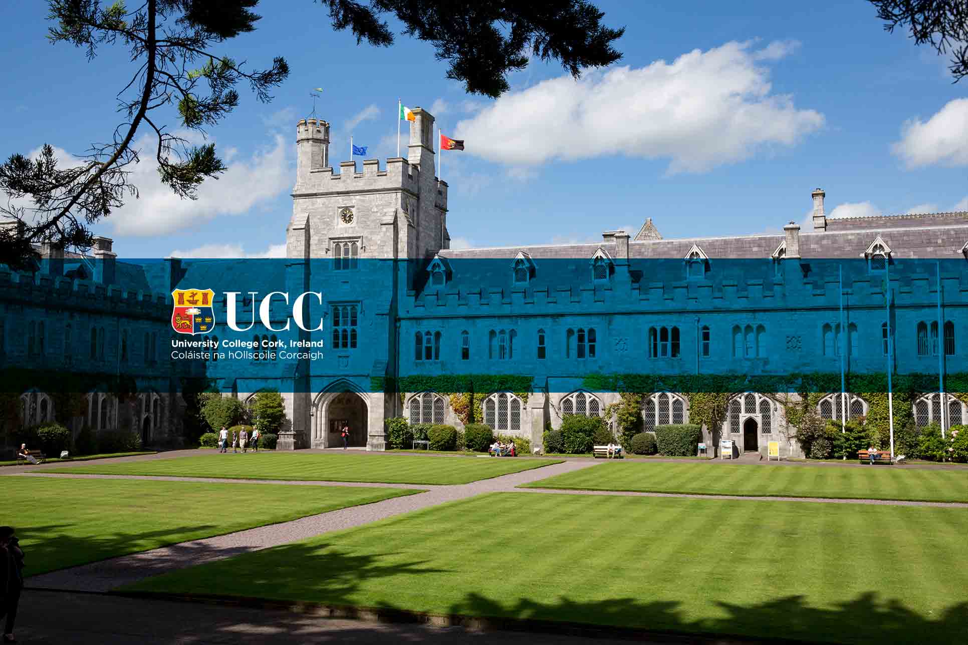 Chief Financial & Operating Officer, University College Cork (UCC)