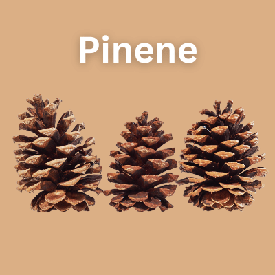 Pinene