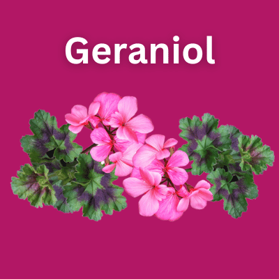 Geraniol