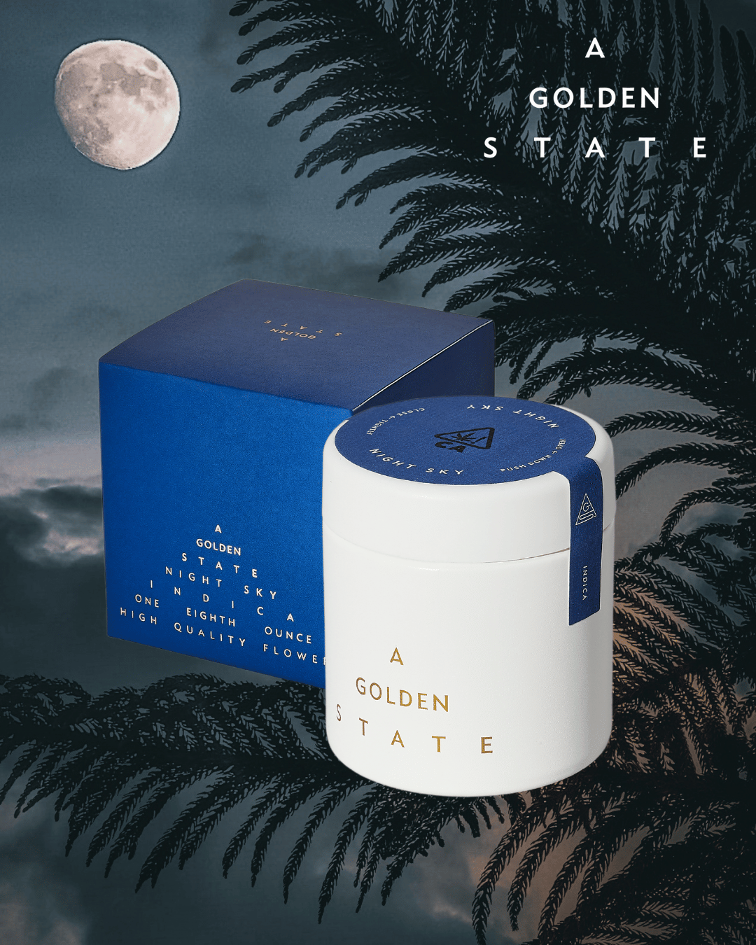 Illuminate Your Night with A Golden State's Night Sky Flower