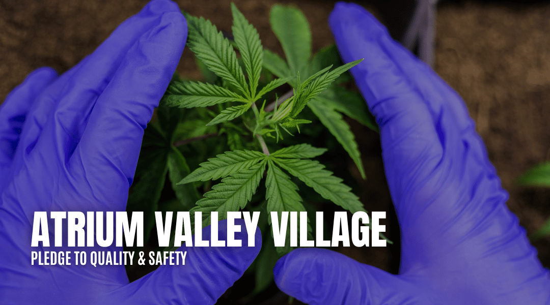 Atrium Valley Village: Our Pledge to Quality and Safety | Atrium Dispensary