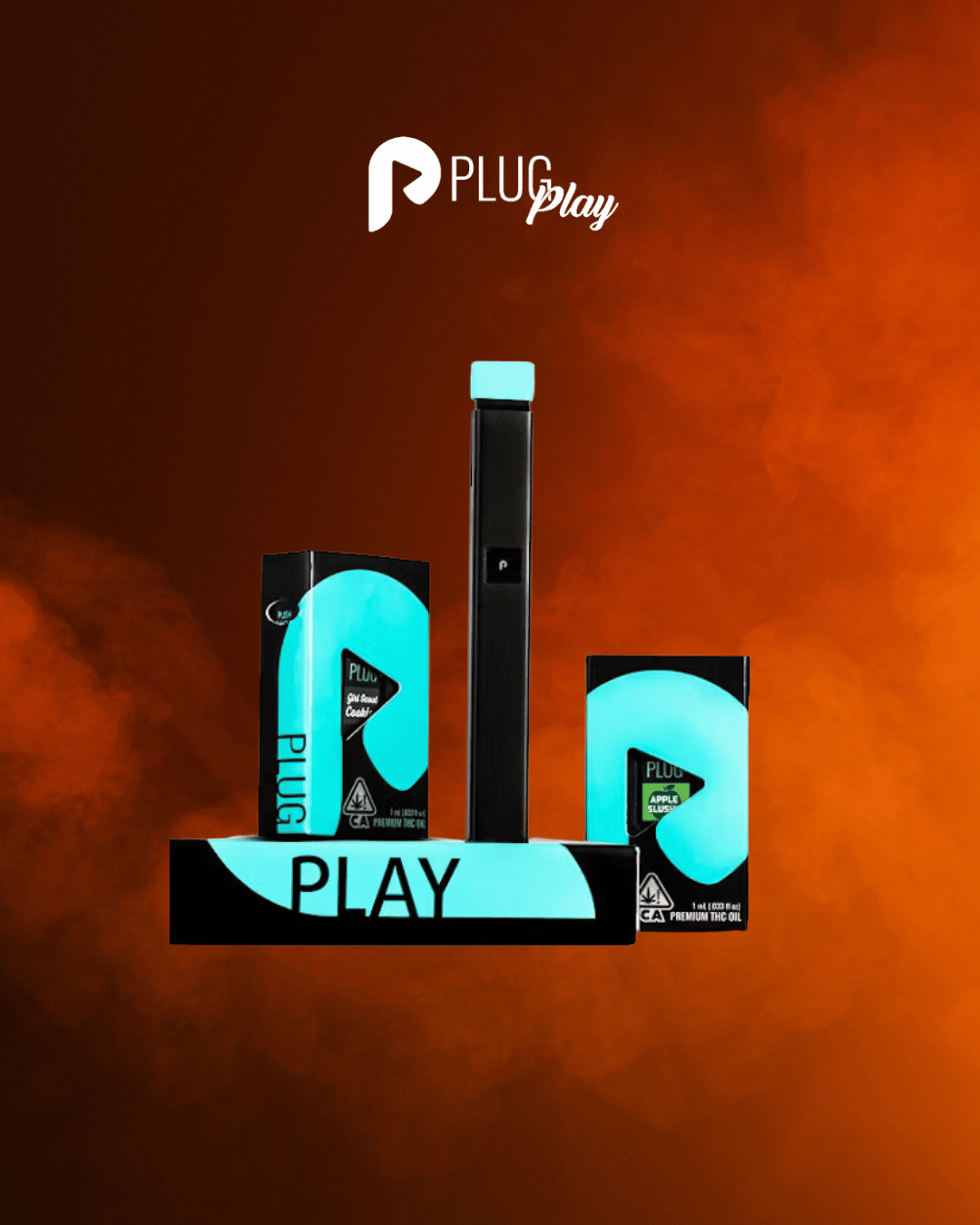 The Future of Vaping: Understanding PlugPlay Technology