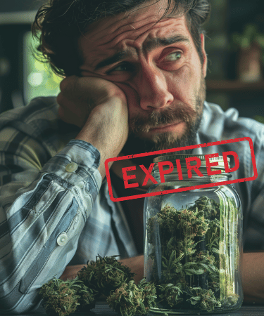 Is It Safe to Smoke Old Weed?