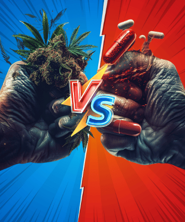 Marijuana vs Prescription Sleep Aids: Enhanced Focus & Refreshment 