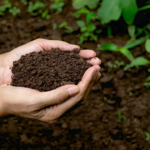 What is super soil?