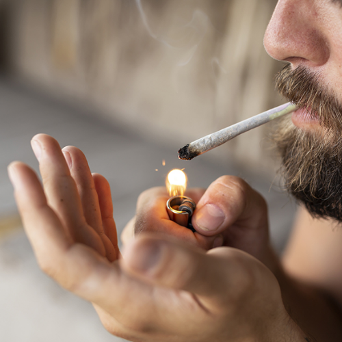 Marijuana and bipolar disorder