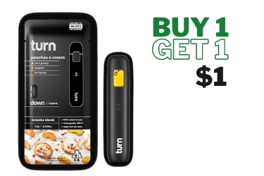 Turn Disposable BOGO by Turn, BOGO $1.00