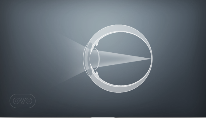 illustration of normal vision