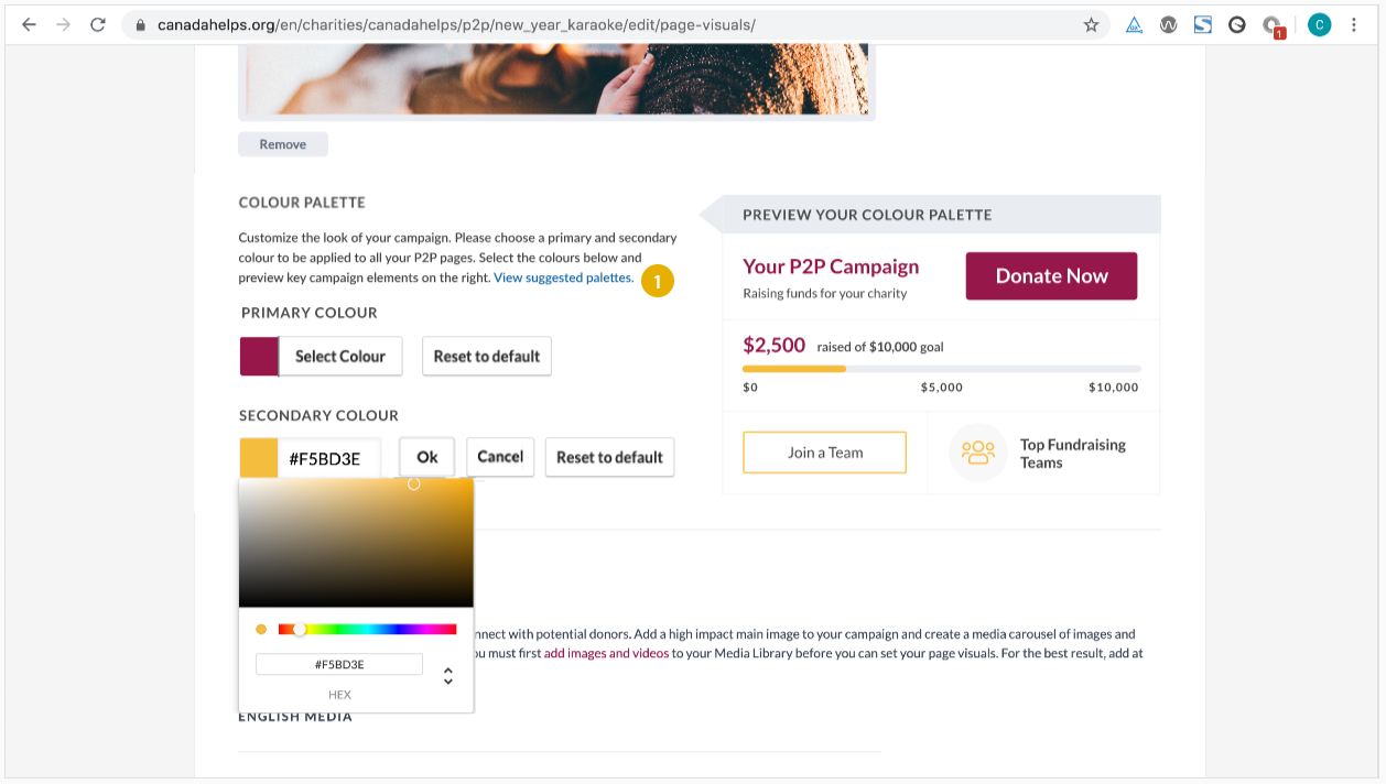 Image showing the colour palette picker charity account P2P campaign dashboard.