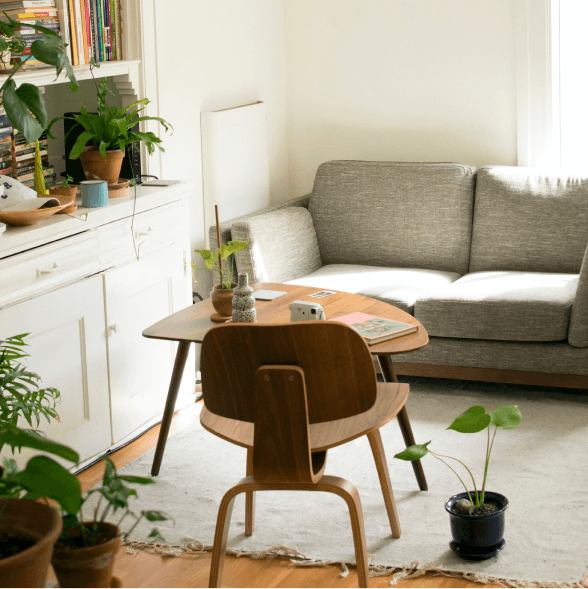 Furnish and Styling