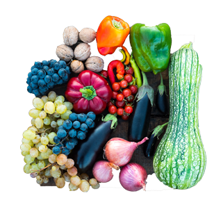 Picture fruits and vegetables