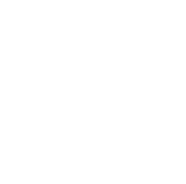 Path optimization icon