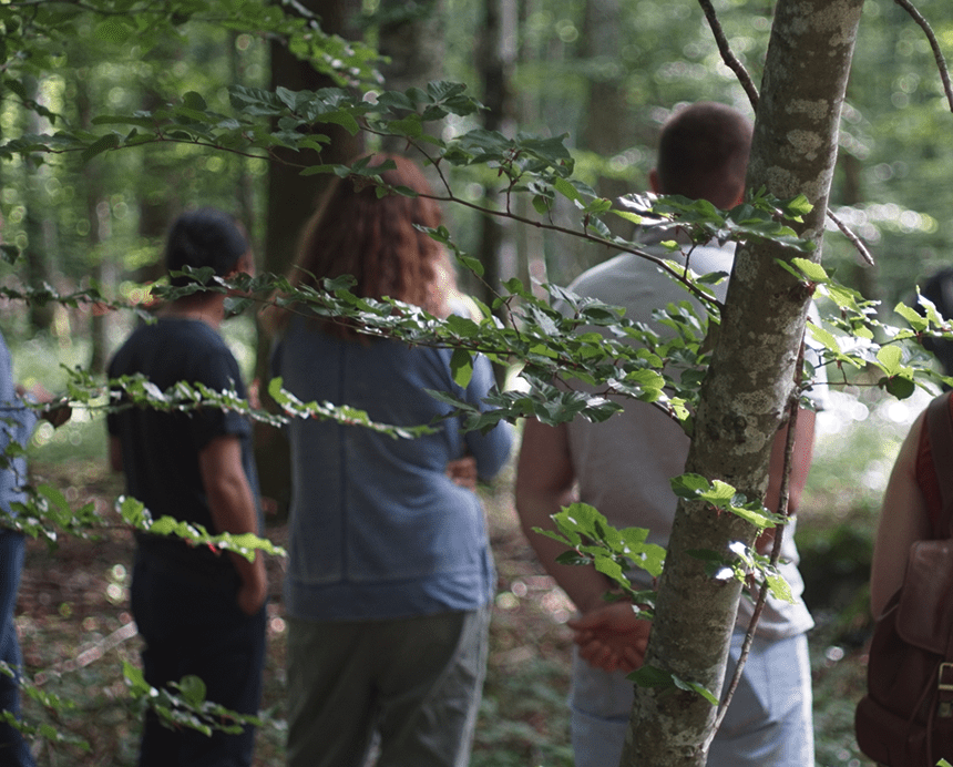 Vidéo Formation "Parlons bois"