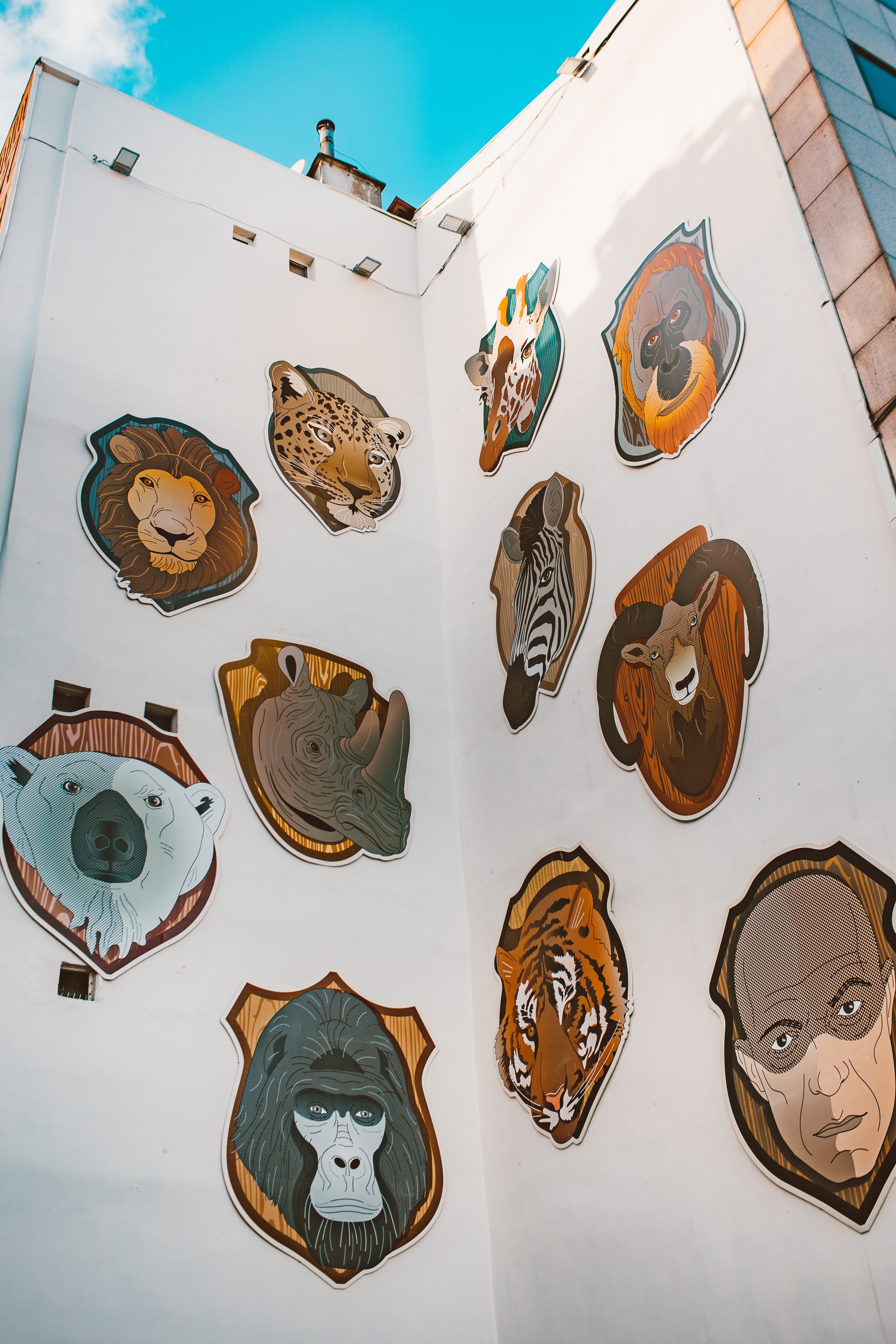 an inverted corner of an exterior wall with huge stickers painted on of animals like a tiger and bear