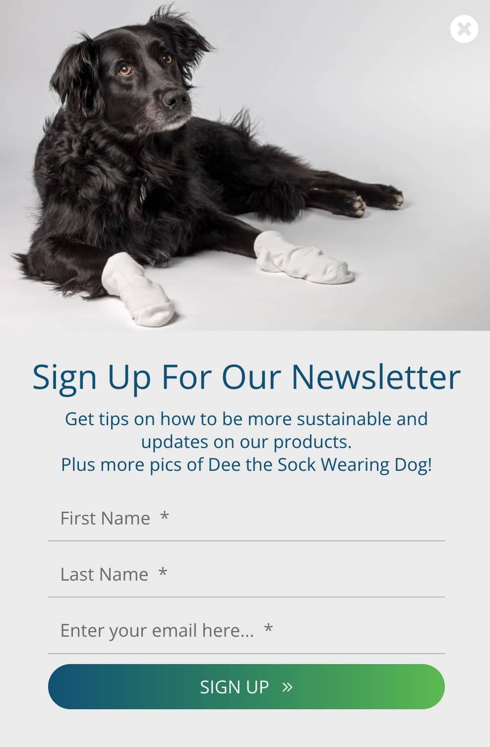 Dog wearing socks, with accompanying text: Sign up for our newsletter to get tips on how to be more sustainable and updates on our products. Plus more pics of Dee the Sock Wearing Dog!