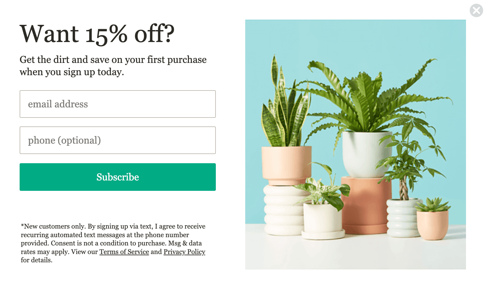 Image of a number of plants, with accompanying text: want 15% off? get the dirt and save on your first purchase when you sign up today.
