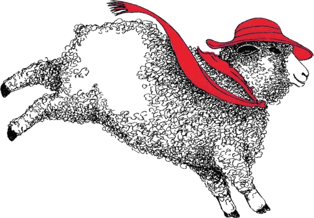 Asheville NC Home Crafts Asheville's Yarn Store, Knitting and Felting Supplies