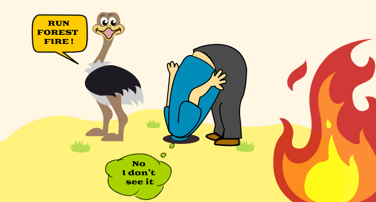 The Ostrich Effect