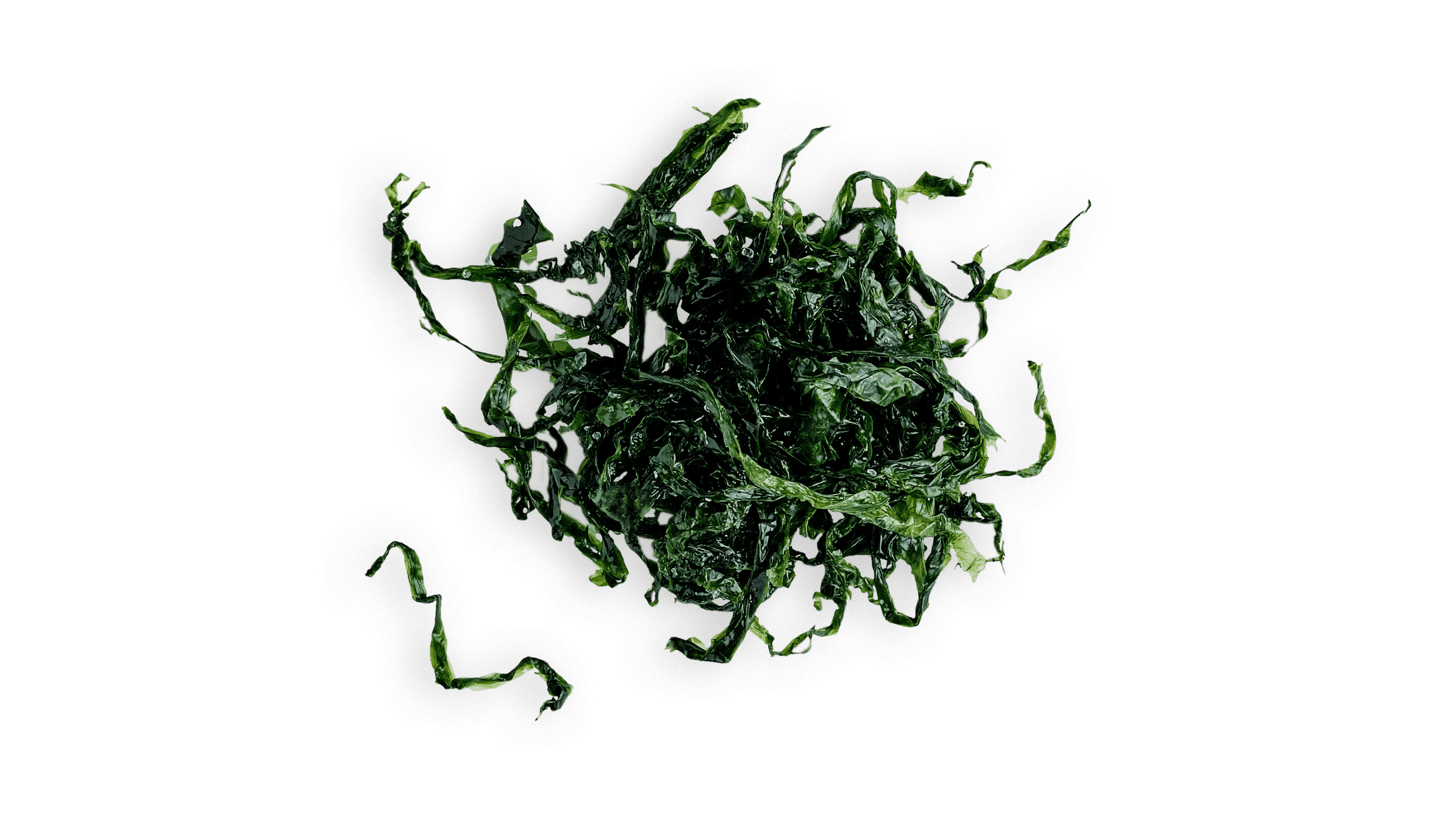 Monster pet food our ingredients
