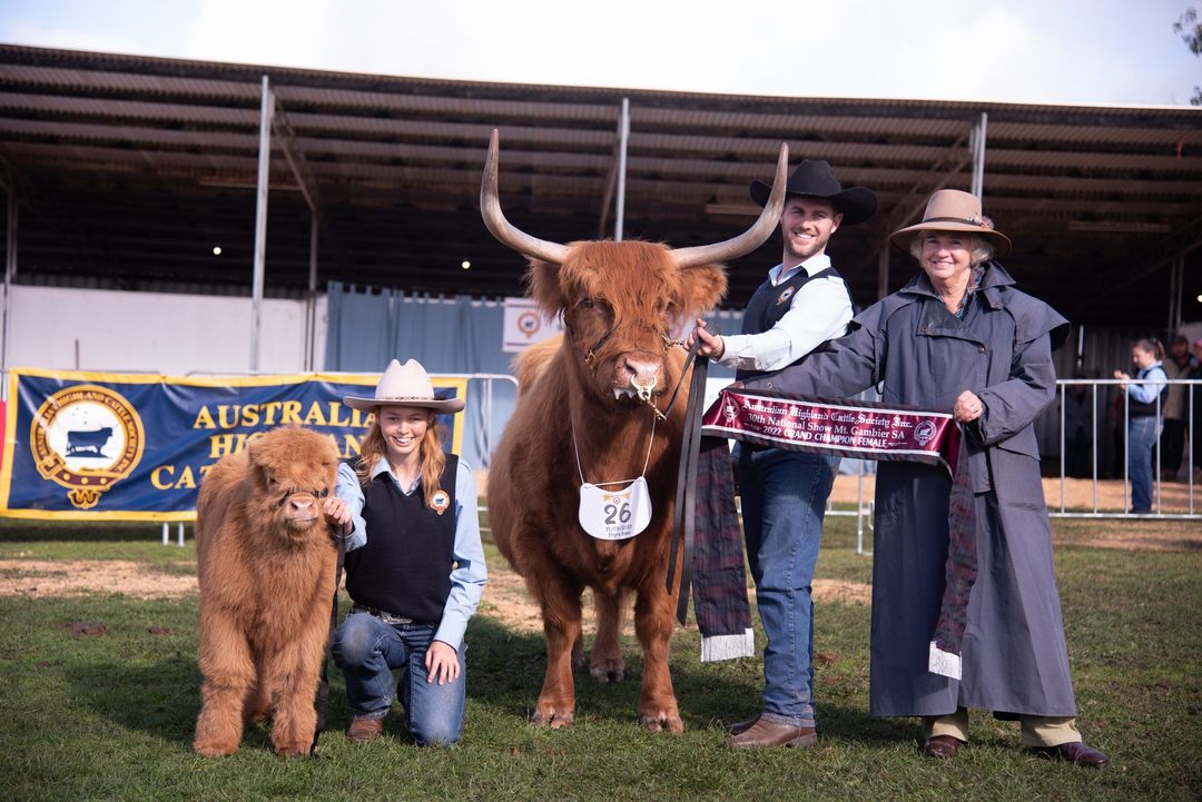 2024 AHCS Calendar Australian Highland Cattle Society
