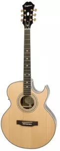 Epiphone With Slim Taper Neck