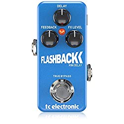 TC Electronic Flashback Mini