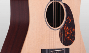 martin dx1ae closeup