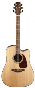 Takamine GD93CE-NAT