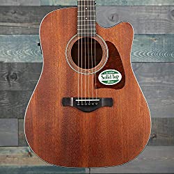 Ibanez AW54CEOPN