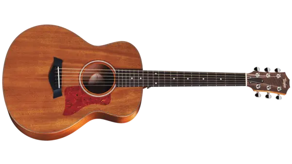 Taylor GS Mini