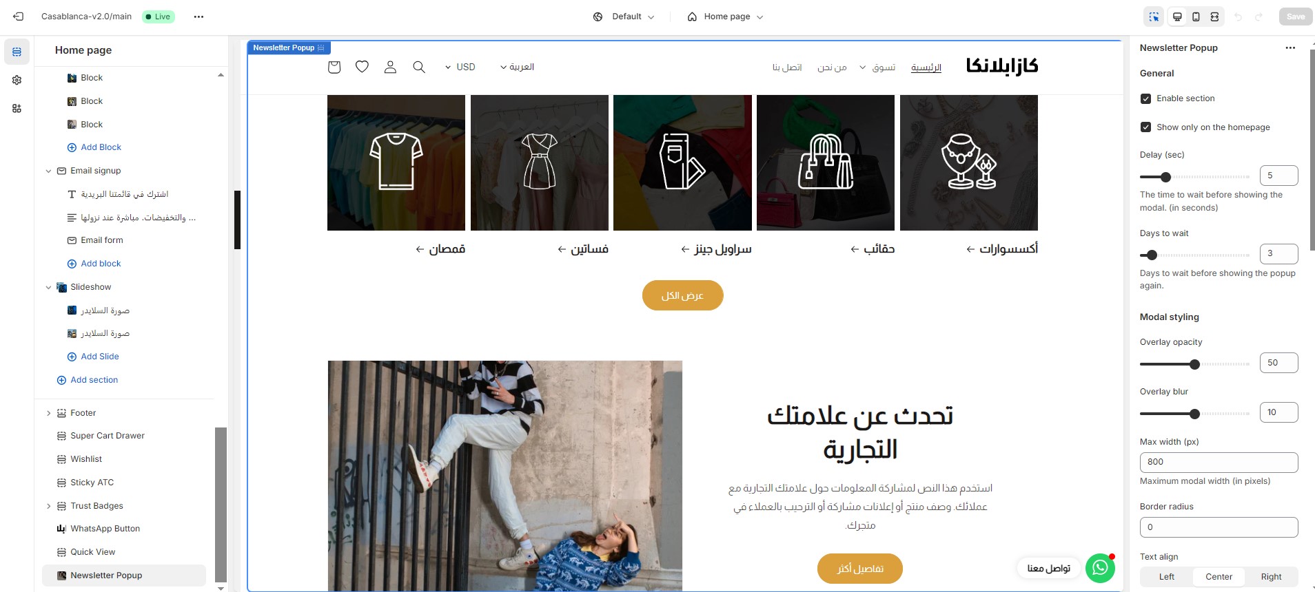 لوحة تحكم وتخصيص القالب