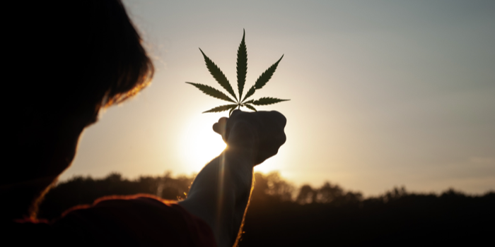 chanvre et cannabis