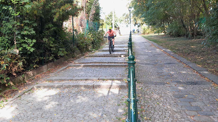 Trocha campu, závodění i exhibic
