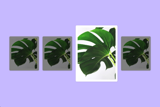 site profile thumbnail
