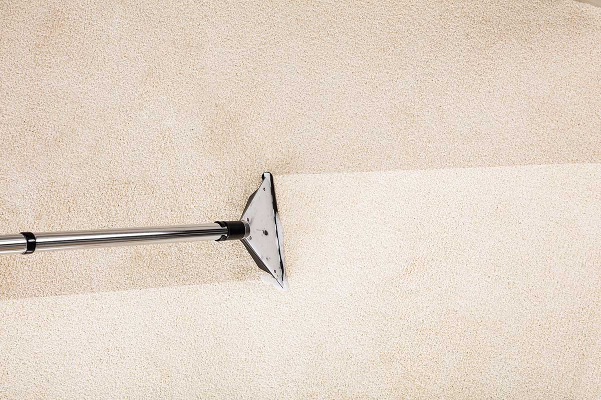 Magic Carpet Cleaning Townsville Bond Cleans Townsville