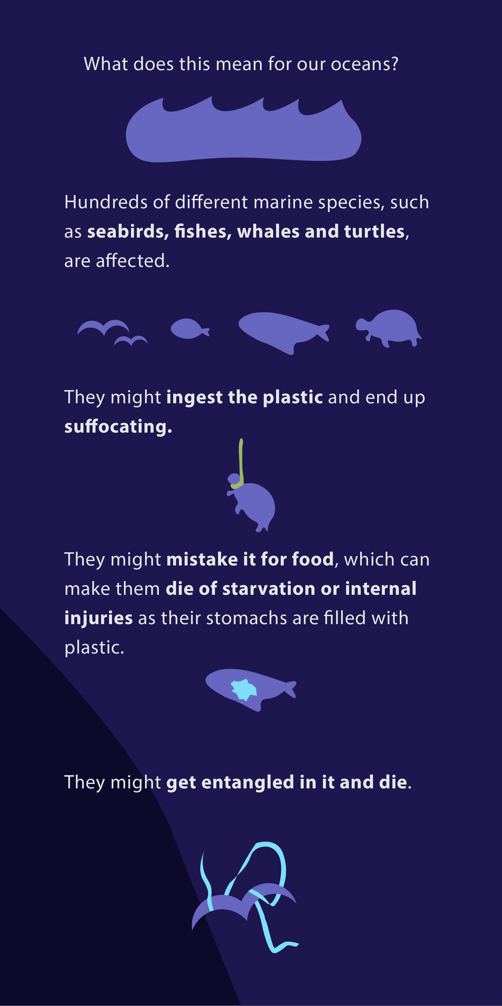 Infographic