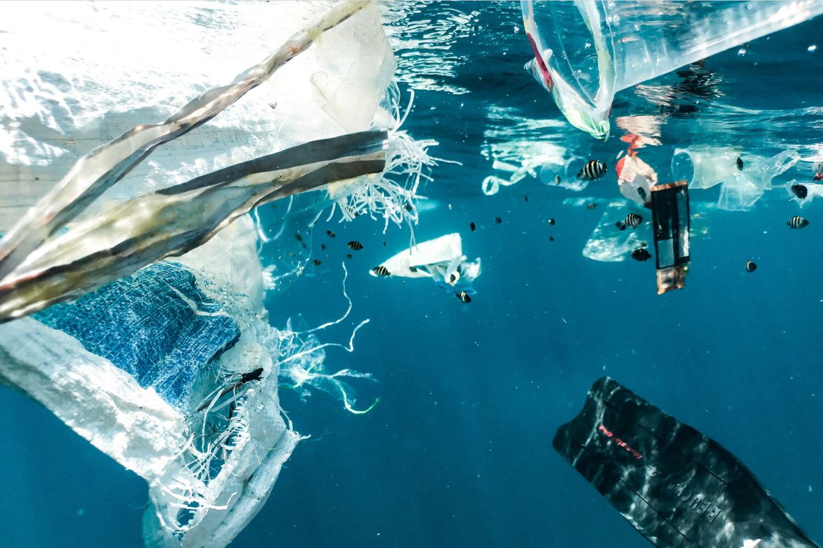 Plastic pollution in the ocean.