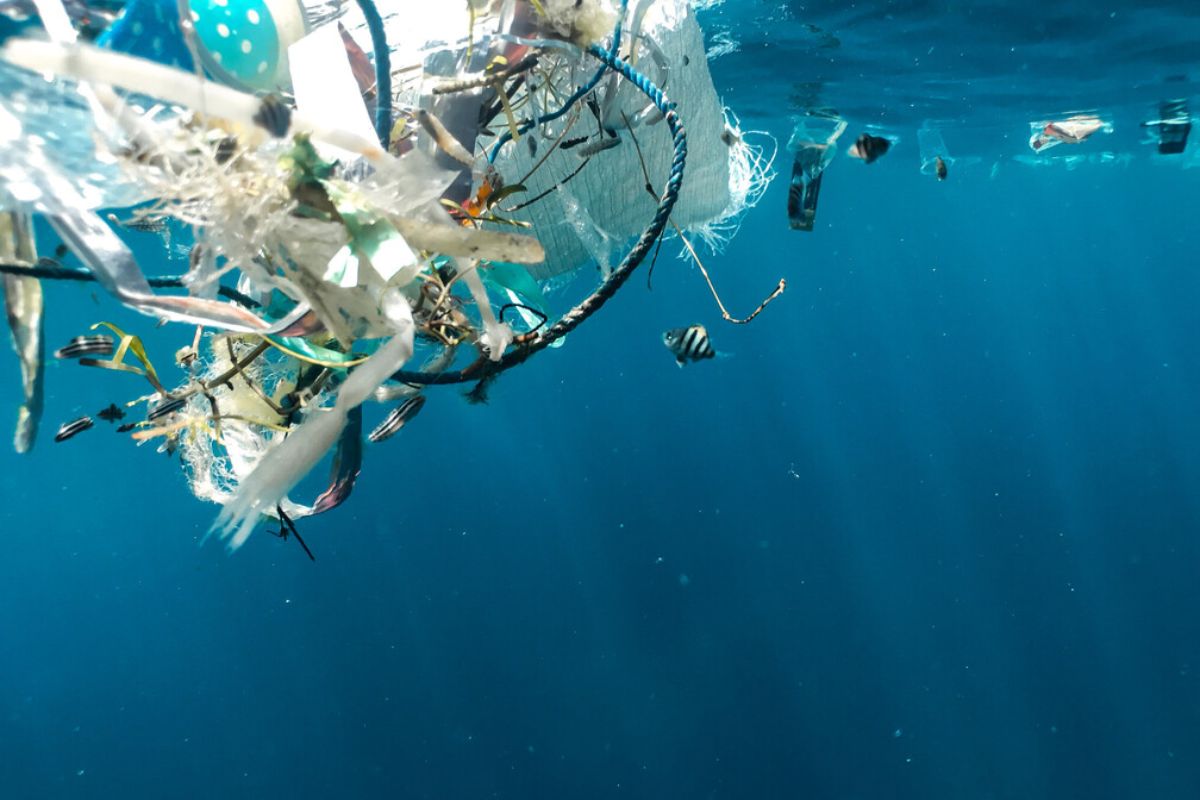 Plastic pollution in the ocean.