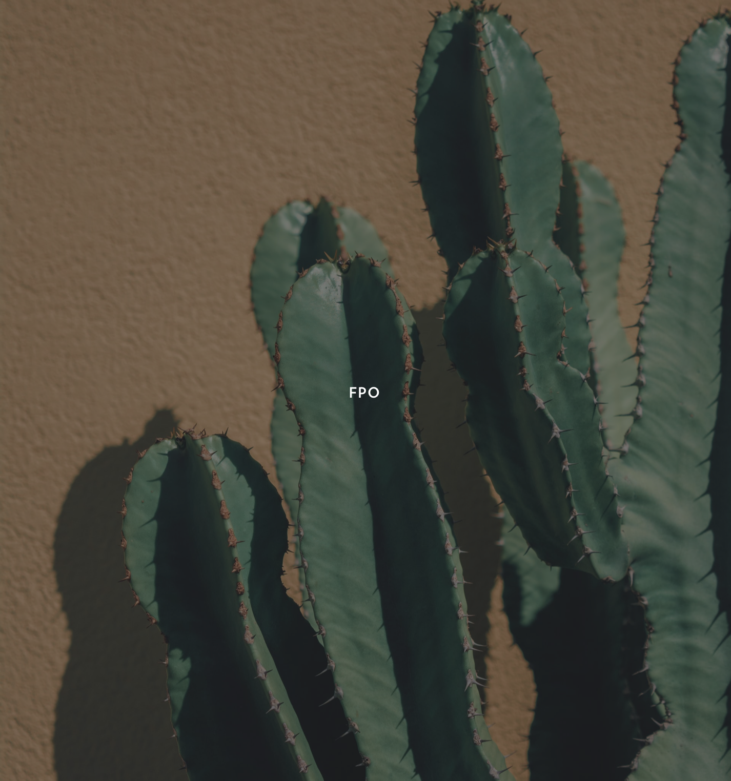 Placeholder image