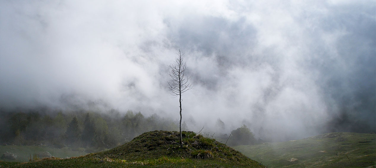 Mountain Lockdown - fotogramma dal documentario