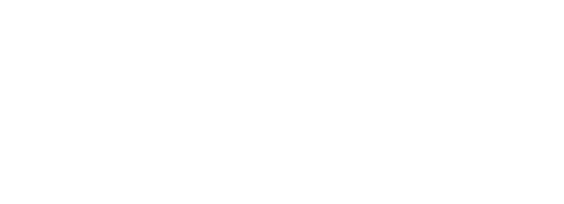 logo of village logo