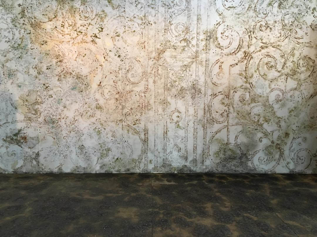Gal Weinstein, Persistent, Durable and Invisible, 2017. Israeli Pavillon, Venice Biennale. Photo: Claudio Franzini.
