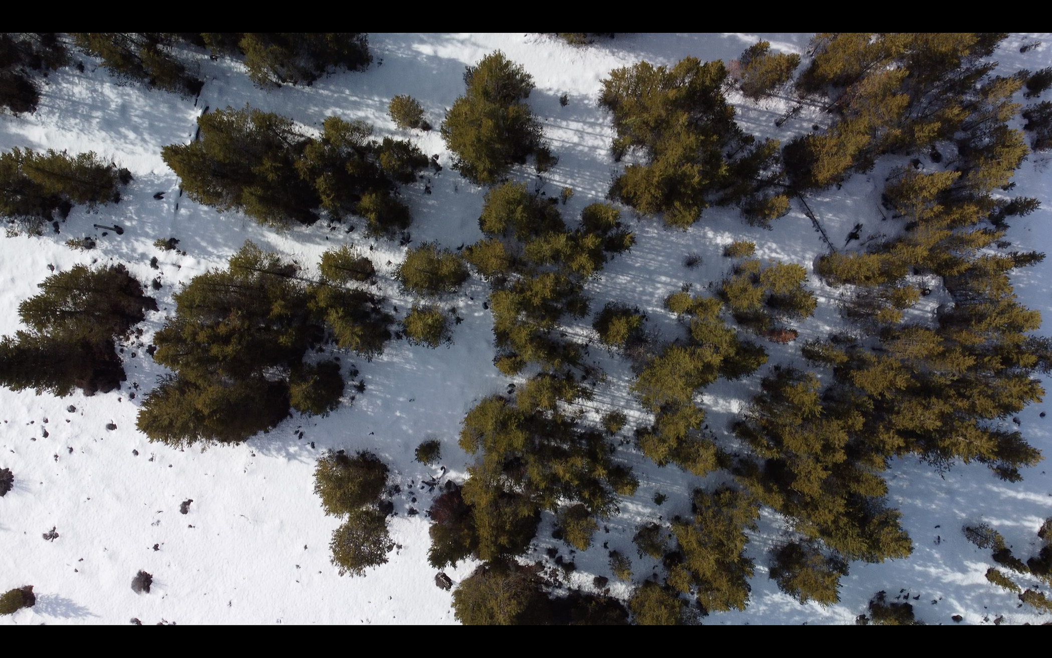 SNO_MN2_UHD_002