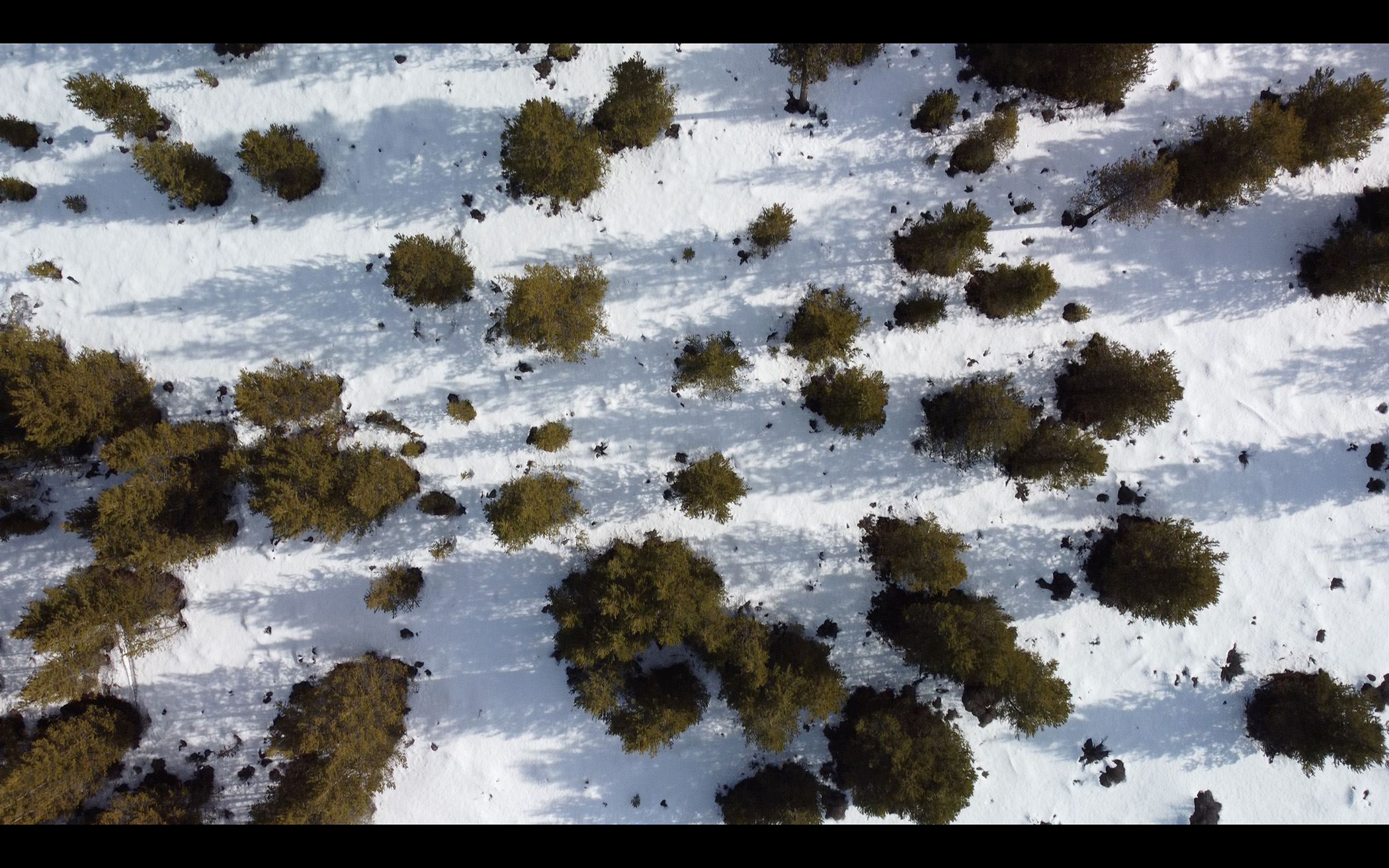 SNO_MN2_UHD_003
