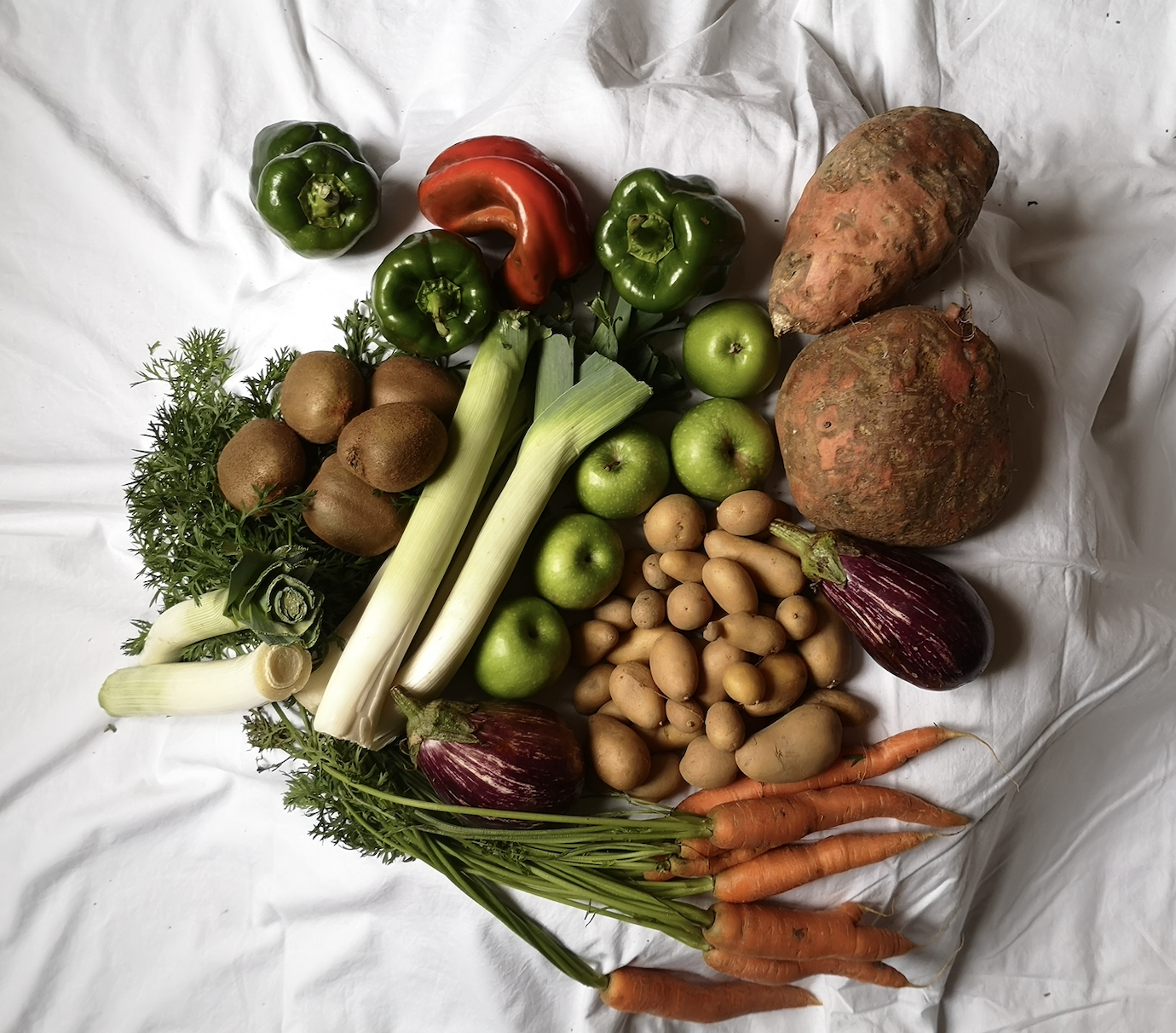Photo du panier de fruits et légumes familial