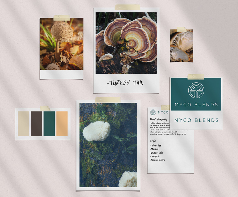 visual style guide for ecommerce graphics