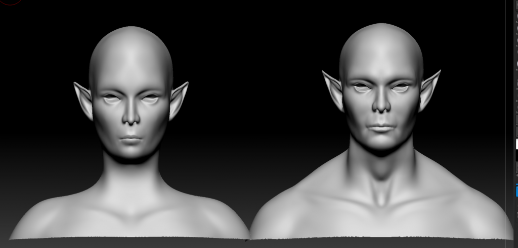 A male a female 3D model looking forwards