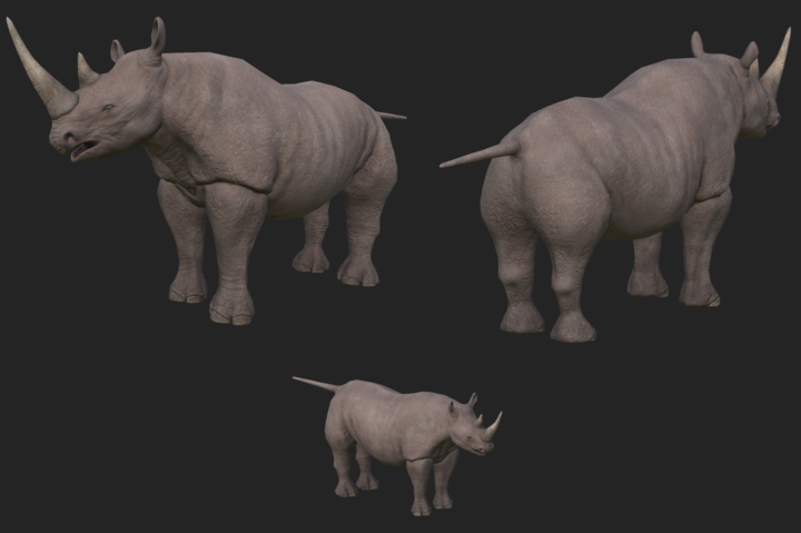 3 long shots of a rhino in ZBrush